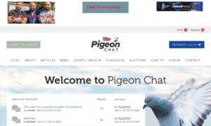 Pigeon-chat.com thumbnail