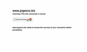 Pigeons.biz thumbnail