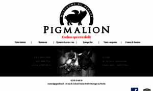 Pigmalion.fr thumbnail