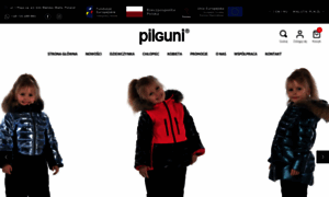 Pilguni.com thumbnail