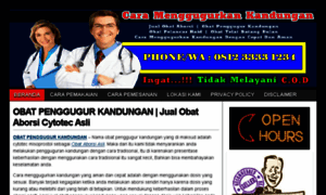 Pillpenggugurkandungan.com thumbnail