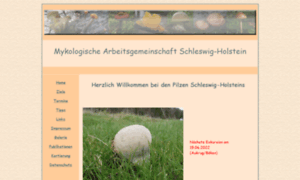 Pilze-schleswig-holstein.de thumbnail