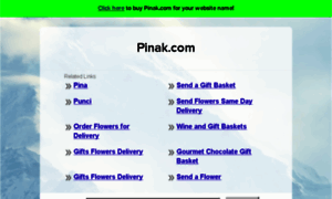 Pinak.com thumbnail