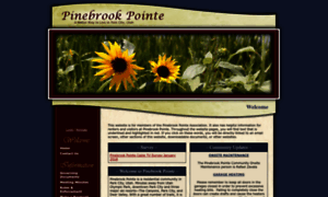 Pinebrookpointehoa.com thumbnail