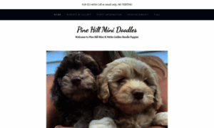 Pinehillgoldendoodles.com thumbnail