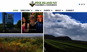 Pineislandny.com thumbnail