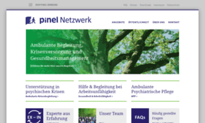 Pinel-netzwerk.de thumbnail