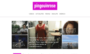 Pingouinrose.fr thumbnail