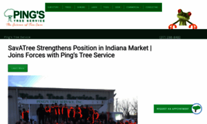 Pingstreeservice.com thumbnail