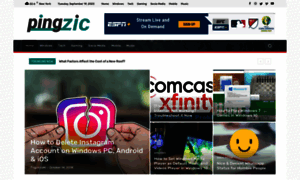 Pingzic.com thumbnail