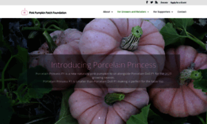 Pinkpumpkinpatch.org thumbnail