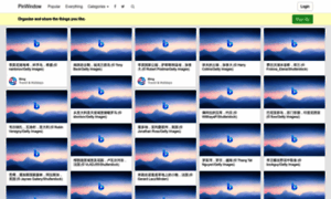 Pinwindow.com thumbnail