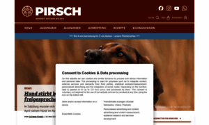 Pirsch.de thumbnail