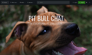 Pitbull-chat.com thumbnail