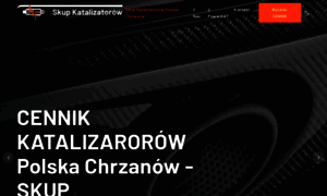 Pl-cennik-katalizatorow.com thumbnail