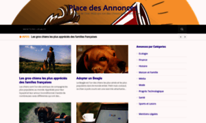 Placedesannonces.fr thumbnail