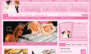 Planningtheperfectwedding.net thumbnail