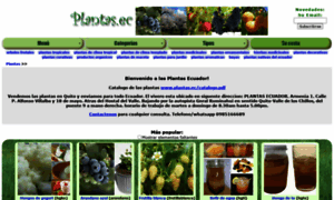 Plantas.ec thumbnail