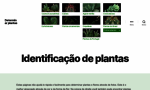 Plantasflores.net thumbnail