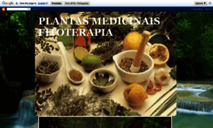 Plantasmedicinais-fitoterapia.blogspot.com.br thumbnail