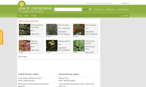 Plantdatabase.co.uk thumbnail