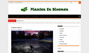 Plantenenbloemen.com thumbnail