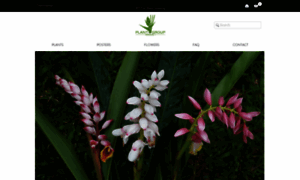 Plantgrouphawaii.com thumbnail