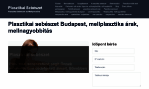 Plasztikaisebeszetesmellplasztika.com thumbnail