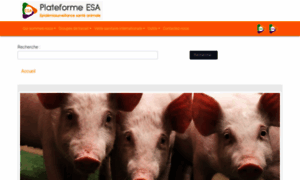 Plateforme-esa.fr thumbnail