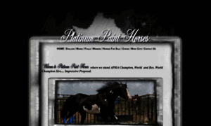 Platinumpainthorses.com thumbnail