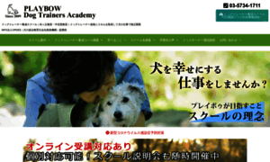 Playbow-dogtrainers-academy.com thumbnail