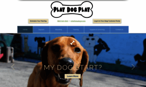 Playdogvt.com thumbnail