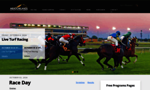 Playmeadowlands.com thumbnail