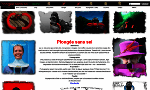 Plongeesanssel.com thumbnail