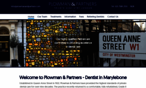 Plowmanandpartners.com thumbnail