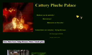 Pluchepalace.net thumbnail