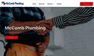 Plumbingservicedenverco.com thumbnail