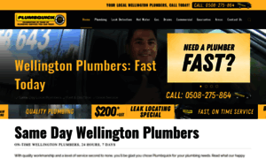 Plumbquickwellington.co.nz thumbnail