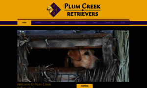 Plumcreekretrievers.com thumbnail