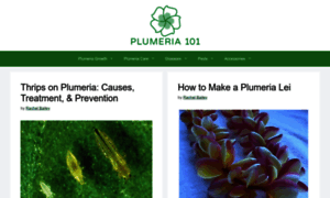Plumeria101.com thumbnail