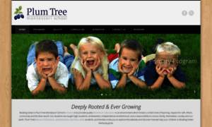 Plumtreemontessori.com thumbnail