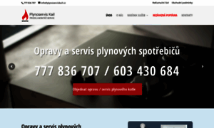 Plynoserviskail.cz thumbnail