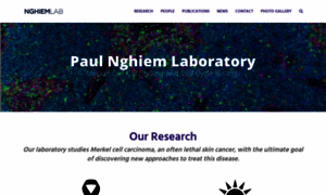 Pnlab.org thumbnail