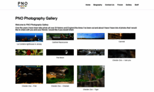 Pnophotographyforum.ddns.net thumbnail