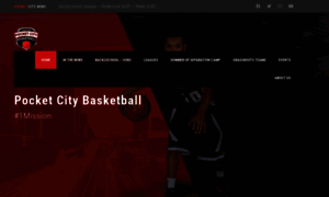 Pocketcitybasketball.com thumbnail