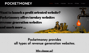 Pocketmoney.website thumbnail