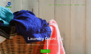 Pointlaundryplus.com thumbnail