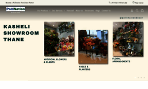Pollination.in thumbnail