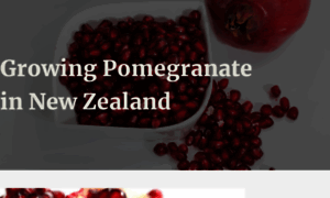 Pomegranate.org.nz thumbnail