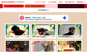 Pomeranian.petstation.jp thumbnail